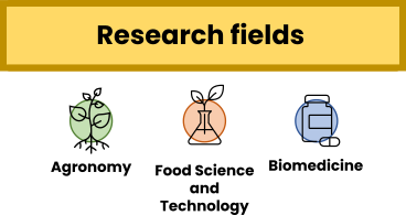 research-fields